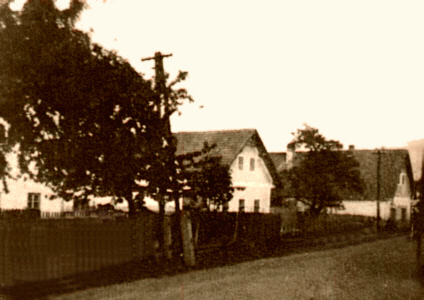 Bild aus dem Ortsbeitrag