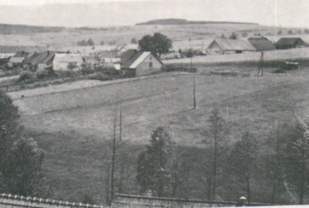 Bild aus dem Ortsbeitrag