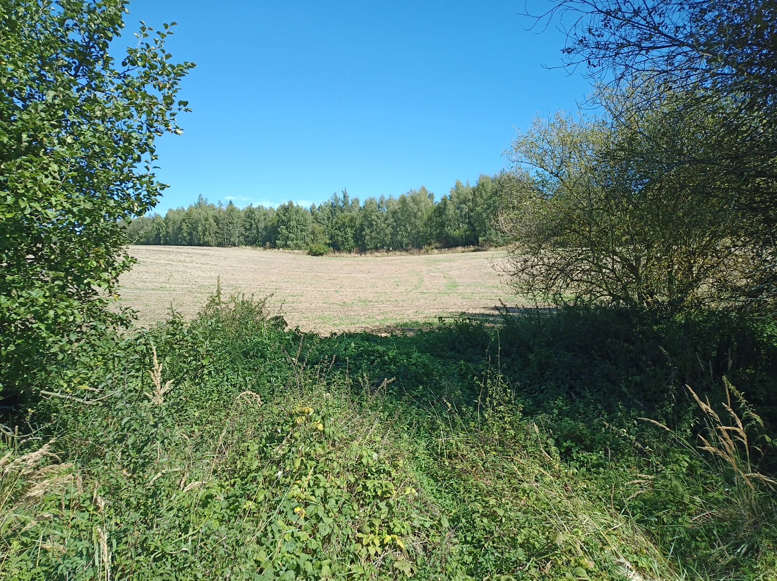Landschaft bei Ranzern · Aufnahme von 2025 · Foto: Aktron, CC BY-SA 4.0